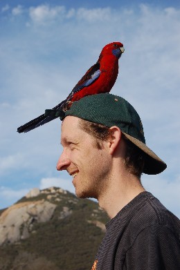 Chris Rehberg with a crimson rosella on his head